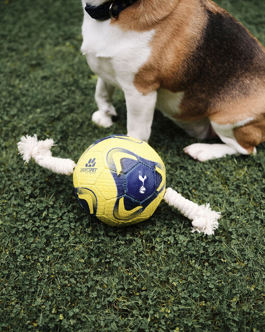Spurs Dog Size 1 Football