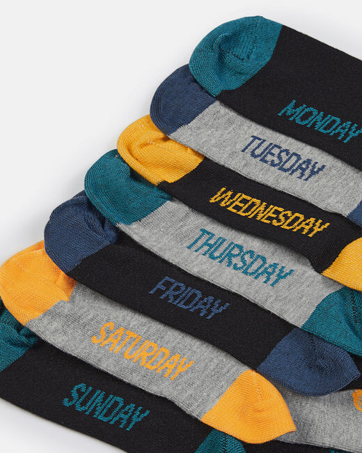 null image number null