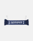 Spurs Mini Navy Car Scarf
