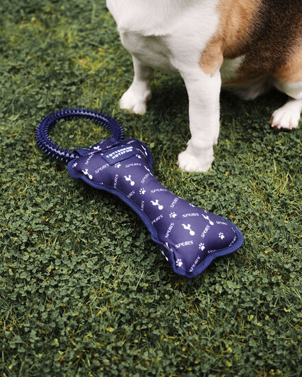 Spurs Dental Dog Toy