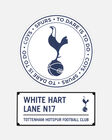Spurs 2 A4 Pack Car Window Decal