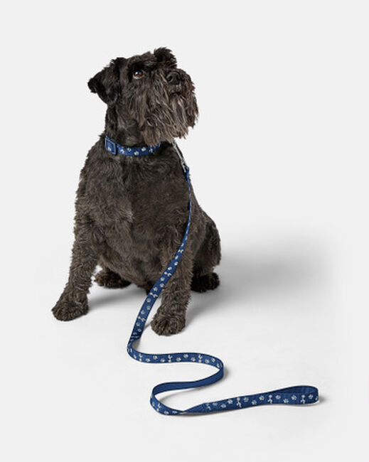 Spurs Pet Navy Collar & Lead Set