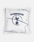 Spurs Tactics Cushion