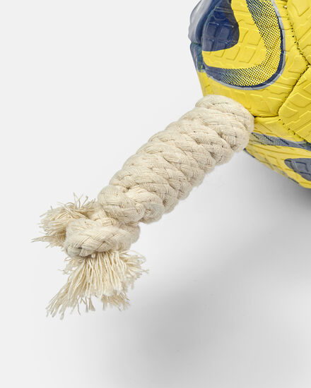 Spurs Dog Size 1 Football