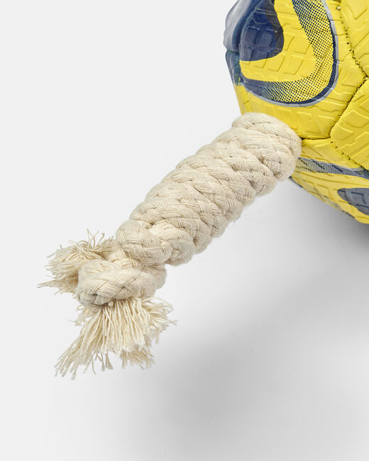 Spurs Dog Size 1 Football