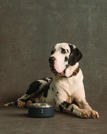 Spurs x YETI Boomer Large (1.8L) Dog Bowl