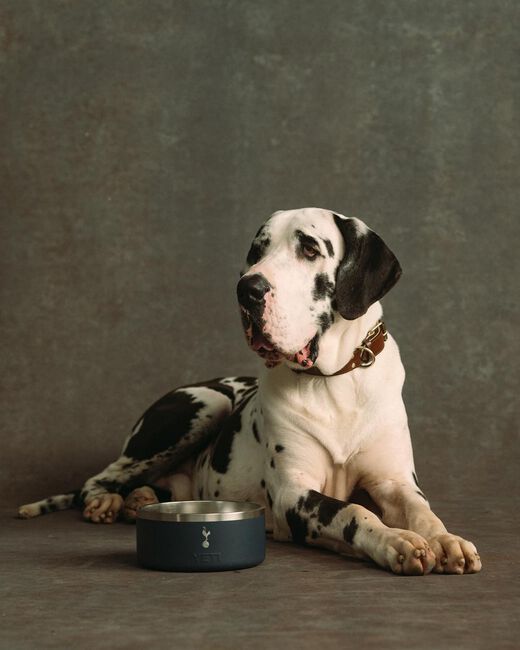 Spurs x YETI Boomer Large (1.8L) Dog Bowl