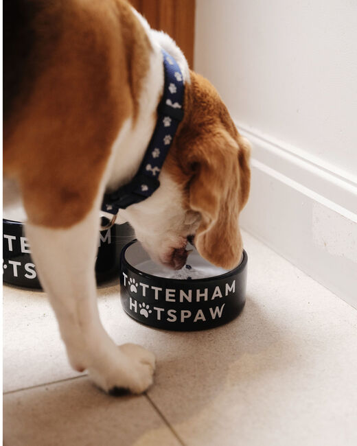 Spurs Small 12cm Ceramic Pet Bowl