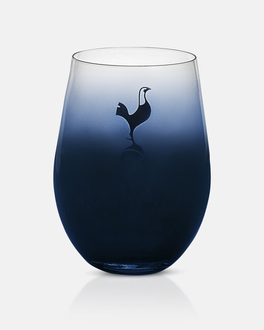 Spurs 2 Pack Dip Dye Tumblers