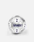 Spurs Metallic Size 1 Signature Football